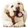 Nylabone Ergonomic Hold & Chew Wishbone Power Chew Durable Dog Toy Bison Flavor Nylabone Ergonomic Hold & Chew Wishbone Power Chew Durable Dog Toy Bison Flavor