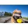 Waboba Fetch Water Ball for Dogs