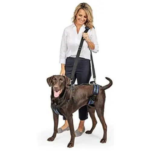 PetSafe PetSafe CareLift Support Harness - Full-Body Lifting aid with Handle - Great for pet Mobility and Older Dogs - Comfortable, Breathable Material - Easy to Adjust - Medium PetSafe PetSafe CareLift Support Harness - Full-Body Lifting aid with Handle - Great for pet Mobility and Older Dogs - Comfortable, Breathable Material - Easy to Adjust - Medium