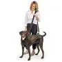 PetSafe PetSafe CareLift Support Harness - Full-Body Lifting aid with Handle - Great for pet Mobility and Older Dogs - Comfortable, Breathable Material - Easy to Adjust - Medium PetSafe PetSafe CareLift Support Harness - Full-Body Lifting aid with Handle - Great for pet Mobility and Older Dogs - Comfortable, Breathable Material - Easy to Adjust - Medium