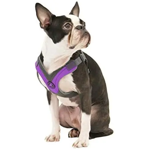 Gooby - Trekking Harness, Small Dog Fleece Lined Harness with Memory Foam Padding Gooby - Trekking Harness, Small Dog Fleece Lined Harness with Memory Foam Padding