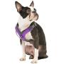 Gooby - Trekking Harness, Small Dog Fleece Lined Harness with Memory Foam Padding