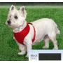 Coastal Comfort Soft Adjustable Dog Dog Harness - Red X-Small For Dogs 7-10 lbs