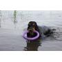 Puller Unique Dog Toy Purple Rings(2 Items) for Every Day Outdoor Training