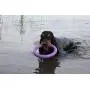 Puller Unique Dog Toy Purple Rings(2 Items) for Every Day Outdoor Training