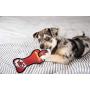 Pets First NFL Kansas City Chiefs Dental Dog TUG Toy with Squeaker. Tough PET Toy for Healthy Fun, Teething & Cleaning Pets Teeth & Gum, Team Color, one Size (KCC-3310)
