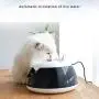 CHZHENG Pet Water Dispenser, Automatic Luminous Pets Water Fountain for Cats Fountain Dogs USB Electric Water Dispenser Drinker Feeder Bowls,B CHZHENG Pet Water Dispenser, Automatic Luminous Pets Water Fountain for Cats Fountain Dogs USB Electric Water Dispenser Drinker Feeder Bowls,B