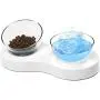 ELSPET Raised Cat Dog Bowl/Cat Dish/Elevated Cat Food Water Bowl, 0°/20° Tilted Transparent Raised Pet Feeding Bowl with Anti-Slip Base for Cat and Small Dog
