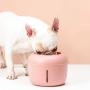 Cat and Dog Water Fountain, Super Quiet Cat Water Dispenser with Filter, USB Charging Automatic Drinking Dispenser for Pets (2.5L),Pink