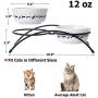 Y YHY Cat Bowls Elevated, Cat Food Dish Raised, Tall Cat Bowls for Food and Water, Ceramic Pet Dishes for Cat or Dogs, Anti Vomiting, Whisker Fatigue, Dishwasher Safe, 12 Ounces