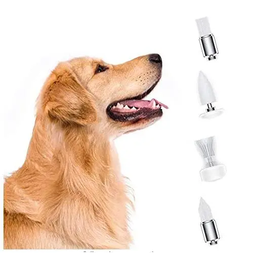 mothermed Electric Pet Tooth Brush Head Use to Remover Stubborn Stains and Dental Stones Cleaning for Dog and Cat mothermed Electric Pet Tooth Brush Head Use to Remover Stubborn Stains and Dental Stones Cleaning for Dog and Cat