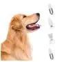 mothermed Electric Pet Tooth Brush Head Use to Remover Stubborn Stains and Dental Stones Cleaning for Dog and Cat mothermed Electric Pet Tooth Brush Head Use to Remover Stubborn Stains and Dental Stones Cleaning for Dog and Cat