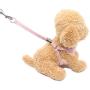 Pet Vest Harness with Leash for Puppy Dog and Cat,Matching Food Bag for Outdoor Walking or Hiking,Soft/Cosy Mesh for Small Dog Puppy Pets