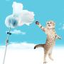 ocijf179 Cat Teaser Pet Cat Kitten Teaser Beads Bell Plush Ball Feather Playing Stick Wand Chew Toy - Grey