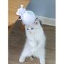 DSstyles Pet Feather Toy,USB Electronic Ball Cat Toy Electric Funny Cat Stick with Clamp