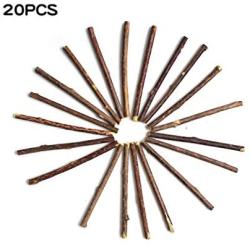 Pudwy 15 & 20 pcs Natural Catnip Pet Cat Molar Toothpaste Stick Fruit Silver Vine Cat Snacks Sticks Pet Cleaning Teeth