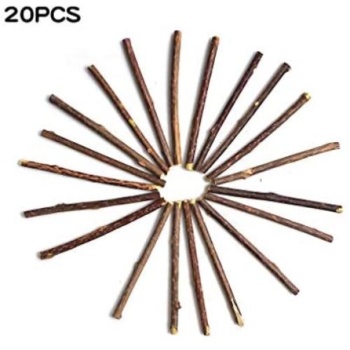 Pudwy 15 & 20 pcs Natural Catnip Pet Cat Molar Toothpaste Stick Fruit Silver Vine Cat Snacks Sticks Pet Cleaning Teeth