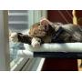 Kitty Cot Original Worlds Best Cat Perch Black Fabric Color