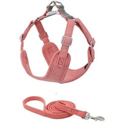 BONAWEN Puppy Harness Leash Set Lightweight Adjustable No Pulling Dog Vest Heavy Duty