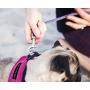 metric usa / Comfort Fit Pets Step in No Pull Small and Medium Dog Harness Vest Easy to Put on & Take Off Soft Padded Interior & Exterior Puppy Harness Ensures Your Dog is Snug & Comfortable