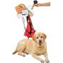 ARAD Hanging Pet Wall Organizer, Dog Toy and Leash Wire Basket, Bone-Shaped Puppy Bin