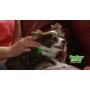 Davis FurEver Brite Glow in The Dark Pet Safety Collar, Small to Medium, Green
