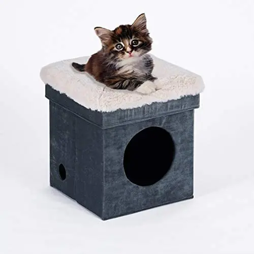 Generies Funny Living Collapsible cat House,cat Cube,Ottoman, Foldable cat condo,cat Sleeper,cat Cushion,cat Hiding Place. Generies Funny Living Collapsible cat House,cat Cube,Ottoman, Foldable cat condo,cat Sleeper,cat Cushion,cat Hiding Place.