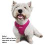 azuza Dog Harness for Small Dogs, Reflective Step in Dog Vest Harness, All Weather Comfort Air Mesh Puppy Harness