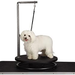 Master Equipment Pet Grooming Table for Pets