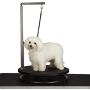 Master Equipment Pet Grooming Table for Pets