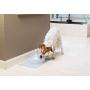 PetSafe Drinkwell, Adjustable, 360 Stainless Steel Pet Fountain, Easy Clean, Hygienic, No Splash or Spills, for Cats and Dogs