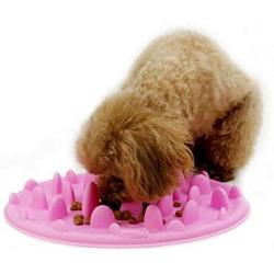 VOFO Slow Pet Feeder Anti-Choke Pet Bowl for Feeding Dogs & Cats (25 x 18cm)