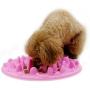 VOFO Slow Pet Feeder Anti-Choke Pet Bowl for Feeding Dogs & Cats (25 x 18cm)