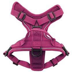 Maverick Dual Attachment Outdoor Dog Harness by Voyager | NO-Pull Pet Walking Vest Harness