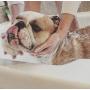 Skinny & CO. Original Skinny Paw Pet Shampoo, 3.8 oz