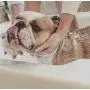 Skinny & CO. Original Skinny Paw Pet Shampoo, 3.8 oz Skinny & CO. Original Skinny Paw Pet Shampoo, 3.8 oz
