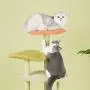 Furrytail Flower Cat Tree Condo with Scratching Post, Plush Perches and Teasing Toy, 44-Inch Cat Tower Kitten Play Platform House Furniture Furrytail Flower Cat Tree Condo with Scratching Post, Plush Perches and Teasing Toy, 44-Inch Cat Tower Kitten Play Platform House Furniture