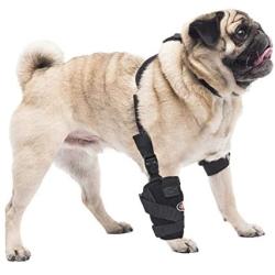 Caldera Pet Therapy Universal Wrap Carpal/Elbow with Gel, Small, Black (PET105)