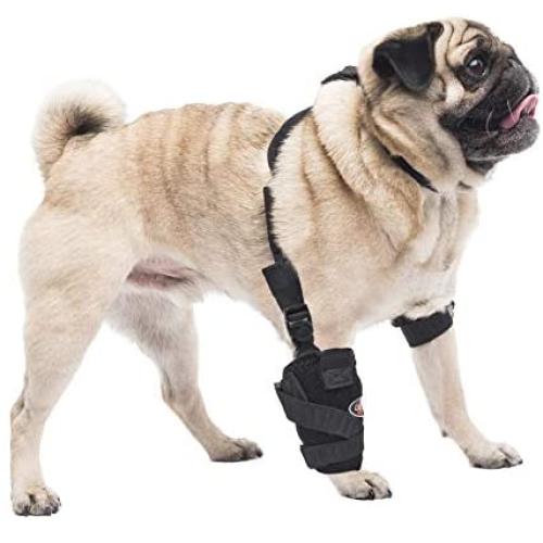 Caldera Pet Therapy Universal Wrap Carpal/Elbow with Gel, Small, Black (PET105)