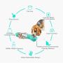 N/F Pet Dog Water Bottle, Dog Travel Water Bottle, Dog Water Bottle and Food Container 2-in-1, Suitable for Outdoor use by Cats and Dogs, Multifunctional, Lightweight and Convenien