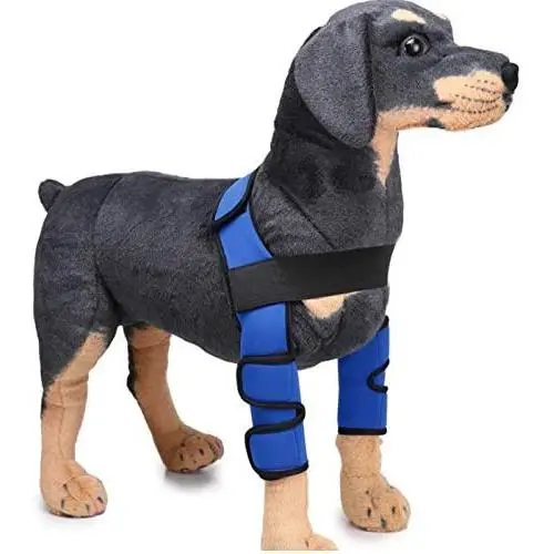 Alfie Pet - Tegan Dog Front Leg Braces with Supporting Sleeve Alfie Pet - Tegan Dog Front Leg Braces with Supporting Sleeve