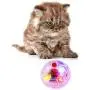 TeenTop Pet Interactive Plastic Ball, Durable Luminescent Transparent Toy Cat Ball Toy Lighting for Kitten Exercise Relief Boredom Boring TeenTop Pet Interactive Plastic Ball, Durable Luminescent Transparent Toy Cat Ball Toy Lighting for Kitten Exercise Relief Boredom Boring