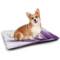 carmaxs Pet Mats for Dogs Flower Decor Waterproof and Urine-Proof Floral Garden with Daisies Violets Tulips Nature Colored Theme Decor Art Print Multicolor