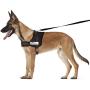 Padded Dog Harness Set: No More Struggling! Easy & Full Control With a Durable No-Pull Harness, Comfortable for Your Pet, Small to X-Large. Reflective & Washable. Includes a Leash and a Car Seat-Belt