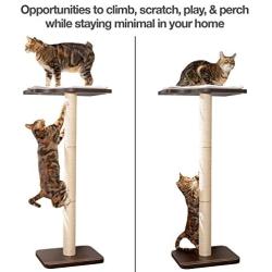 PetFusion Ultimate Cat Window Climbing Perch 45” Tall (Tree Sisal Scratching Posts, Modern Design Simply Suctions to Window. (Easy to Assemble) 1 Year Warranty for Manufacturer Defects