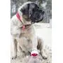 HuggleHounds Plush Corduroy Durable Squeaky Knottie Dog Toy for Aggressive Chewers HuggleHounds Plush Corduroy Durable Squeaky Knottie Dog Toy for Aggressive Chewers