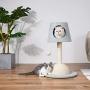 Furrytail Lamp Shape Cute and Uniqueness Cat Tree Tower Scratching Post with Cat House Bed and Teaser Ball, Solid Wood Made Two Color Blue and Beige