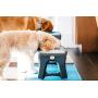 Dexas Popware for Pets Adjustable Height Double Pet Feeder