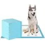 Homey Dog Training Pad Puppy Training Pad Training Pad for Pet Puppy Pads Pet Training Pads Training Pads for Dogs Extra Large (S (1318), 100 Pads)