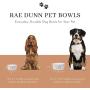 RAE DUNN BY MAGENTA Elongated Pet Bowl